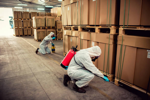 Best Wasp Removal Services  in Freeland, WA