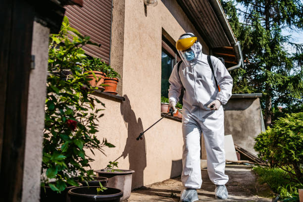 Best Rat Extermination Near Me  in Freeland, WA