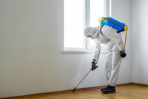 Best Cockroach Control Services  in Freeland, WA