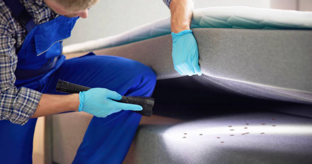 Best Residential Pest Control  in Freeland, WA