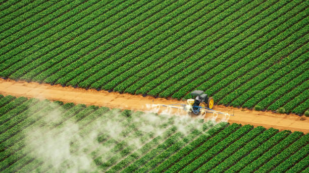 Professional Pest Control in Freeland, WA