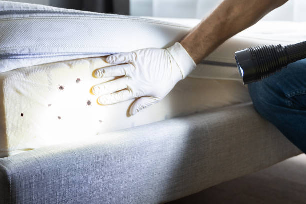 Best Local Pest Control Services  in Freeland, WA