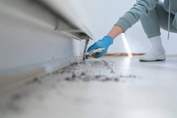 Best Emergency Pest Control  in Freeland, WA