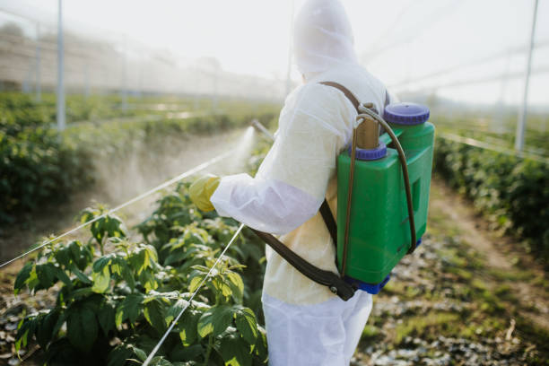 Best Affordable Pest Control Services  in Freeland, WA